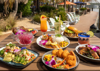 The Outdoor Dining Scene in Tampa Bay