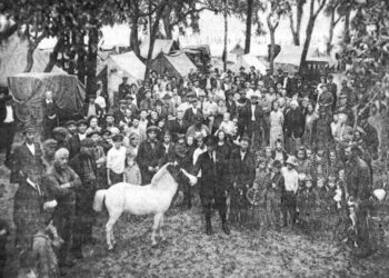 Tin Can Tourists: The Origin of RV Camping in Tampa Bay