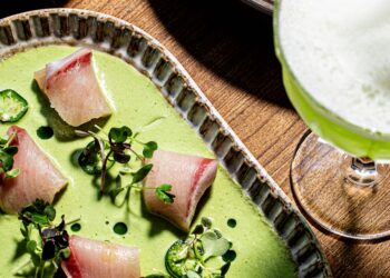 What’s New in Tampa Bay: June/July 2025