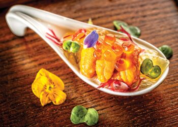 A Taste of Prestige: Four of Pinellas’ Finest Land on the Michelin Guide’s Radar.