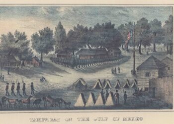 Medicine on the Florida Frontier