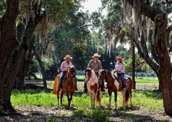 Family Fun and Wild Adventures at Westgate River Ranch
