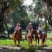 Family Fun and Wild Adventures at Westgate River Ranch