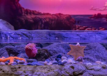 Nonstop to Key West, Florida