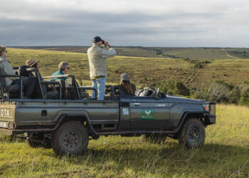 Bless the Rhinos Down in Africa