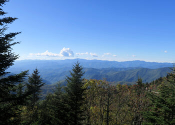 Falling for Haywood County