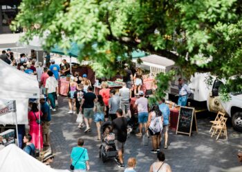 Best Places to Shop in Tampa Bay
