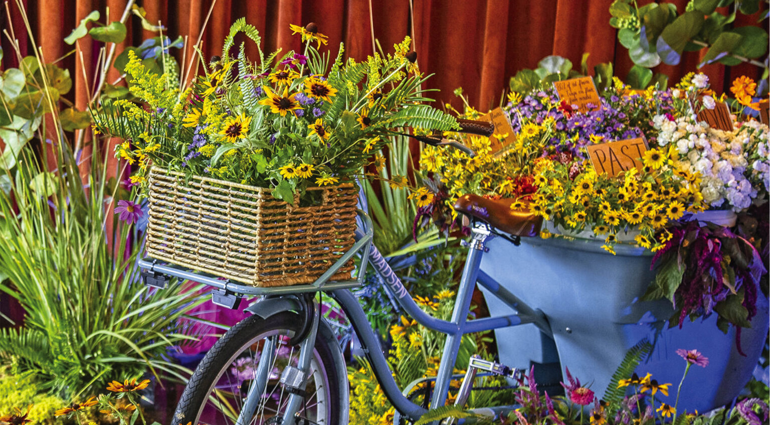 The Gallery: “Flower Bike” by Kali Rabaut - Tampa Magazine