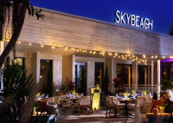 What’s New in Tampa Bay: December 2025