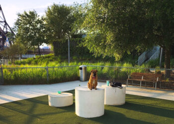 Nominations Open for Tampa Bay’s Most Paw-some Pet Contest