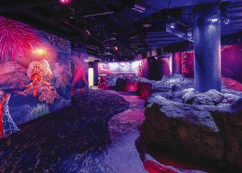 Check In With Tampa Bay: January/February 2026