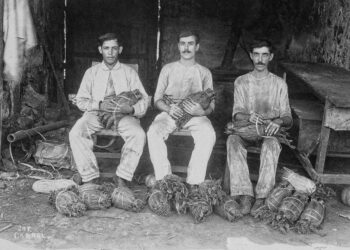 The Gallery: “Cigars! Photography, Industry, and Identity in Ybor City”