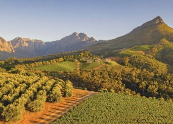 My Trip: South Africa