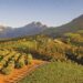 My Trip: South Africa