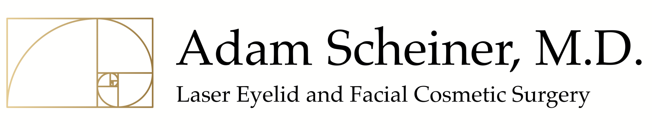 Adam Scheiner logo
