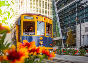Tampa Bay Downtown Living Guide 2026