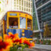 Tampa Bay Downtown Living Guide 2026