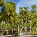 Why Tampa Homeowners Are Replacing High-Maintenance Landscaping With Native Plants
