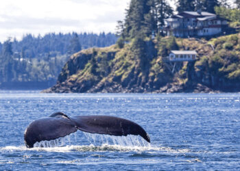 My Trip: Vancouver Island