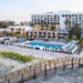 What’s New in Tampa Bay: October 2026