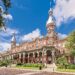 Your Ultimate 72-Hour Guide to Tampa Bay
